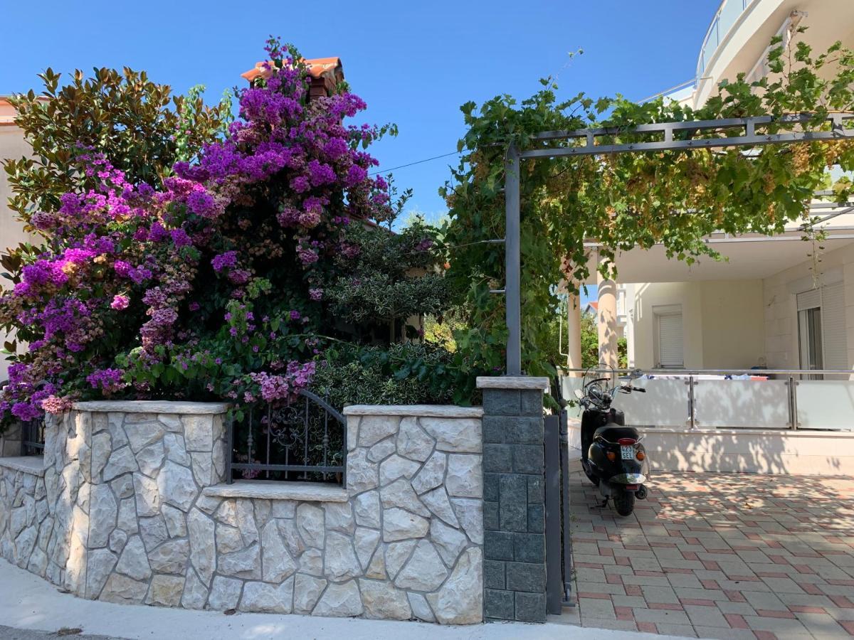 Apartments Dumancic ビオグラード・ナ・モル エクステリア 写真